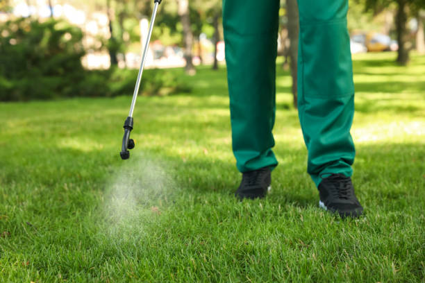 Pest Control Cost in Kalkaska, MI