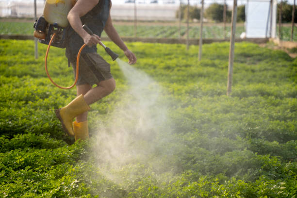 Best Pest Control Near Me  in Kalkaska, MI