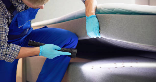 Pest Control for Restaurants in Kalkaska, MI