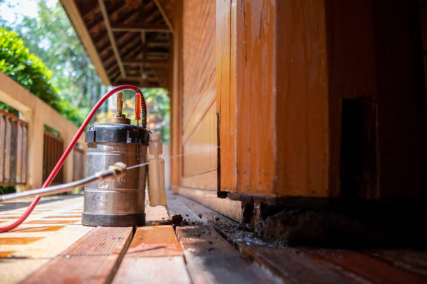 Best Pest Removal Services  in Kalkaska, MI