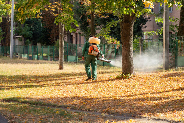 Best Pest Control Treatment  in Kalkaska, MI