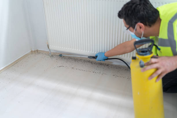 Best Best Pest Control Near Me  in Kalkaska, MI